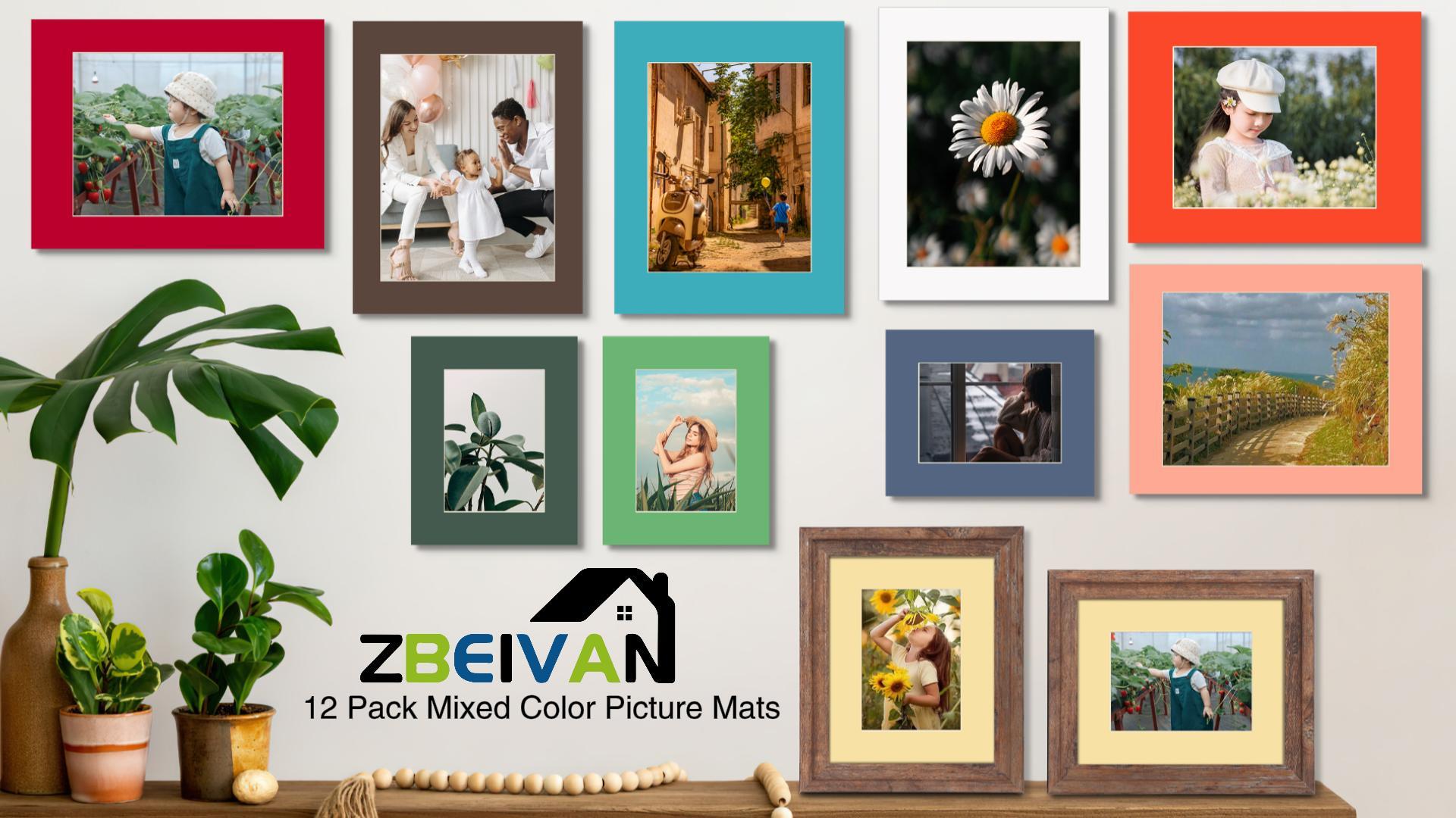 Amazon.com: ZBEIVAN 12 Packs Mixed Colors 11x14 Picture Frame Mats